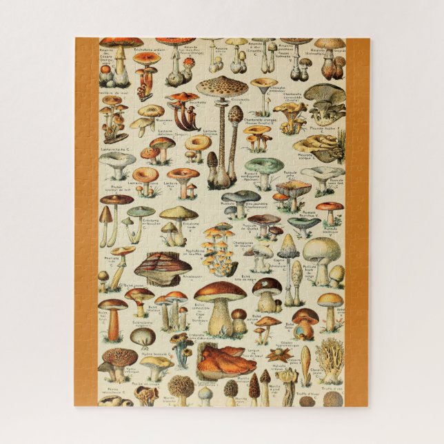 Puzzle Collection de champignons (Vertical)