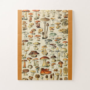 Puzzle Collection de champignons