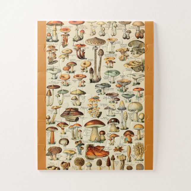 Puzzle Collection de champignons (Vertical)