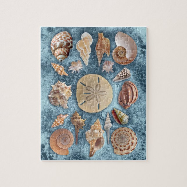 Puzzle Collection de coquillages (Vertical)