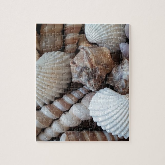 Puzzle Collection de coquillages ensoleillés Nature été (Vertical)