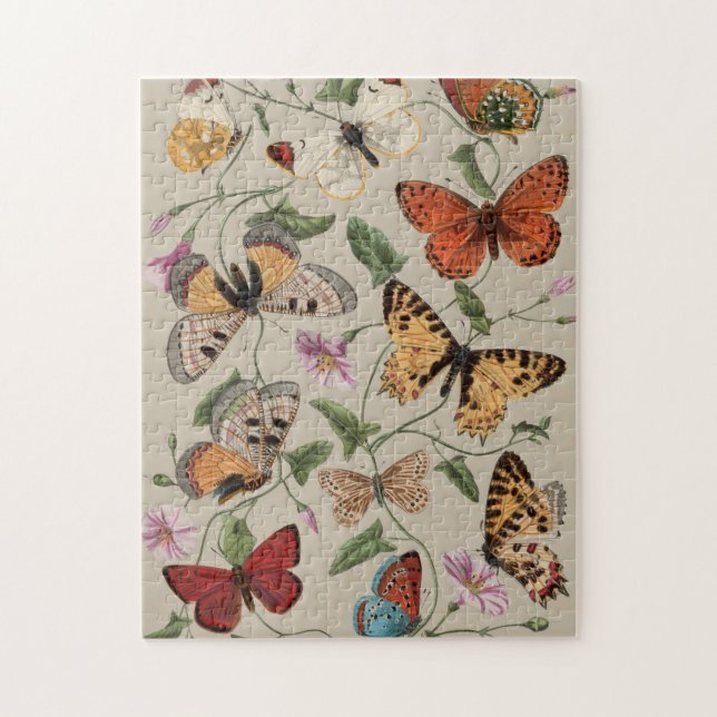 Puzzle Collection de la papillon Moth Nature Dessin (Vertical)