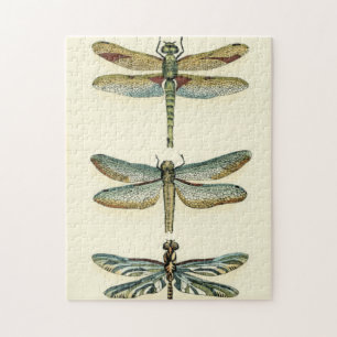 Puzzle Collection de libellules par Chariklia Zarris