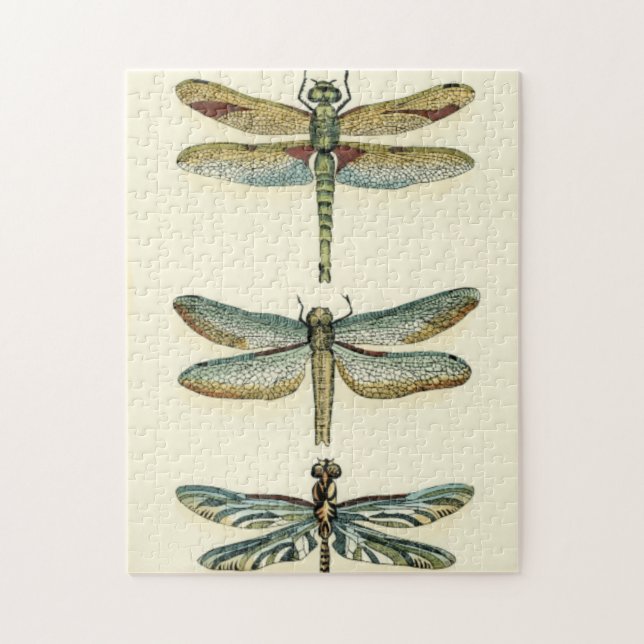 Puzzle Collection de libellules par Chariklia Zarris (Vertical)