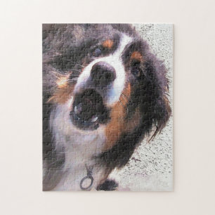PUZZLE COLLIE FRONTALIÈRE