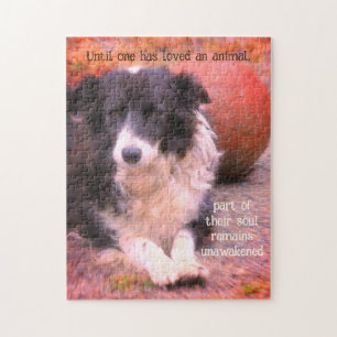 Puzzle Collie Frontière Et Chien À Balle Art Inspiration