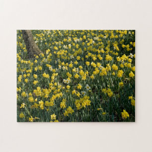 Puzzle Colline de jonquille - fleurs jaunes et blanches