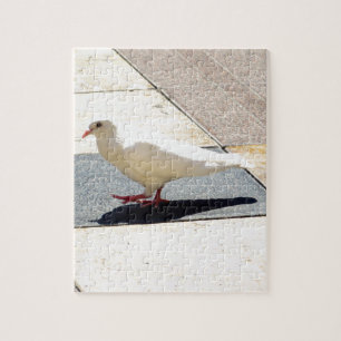 Puzzle Colombe