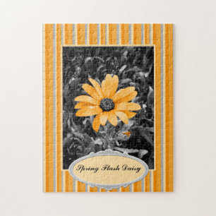 Puzzle Color Splash Spring Flash African Daisy Photograph