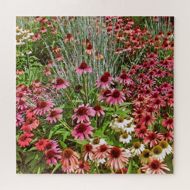 PUZZLE/COLORFUL CONEFLOWER GARDEN JIGSAW PUZZLE (Horizontal)