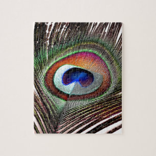 Puzzle Colorful Copper Peacock Feather