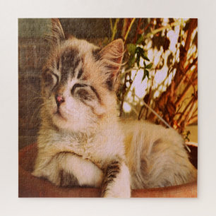 Puzzle Comfy Sleepy Kitty