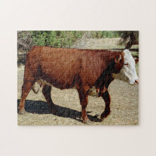 Puzzle Comment maintenant vaches Brown
