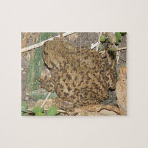 Puzzle commun européen