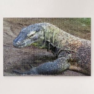 Puzzle comodo draon