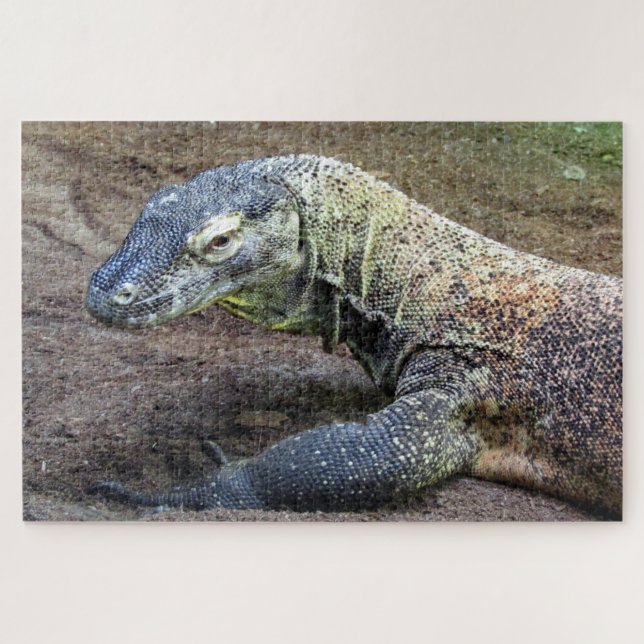 Puzzle comodo draon (Horizontal)