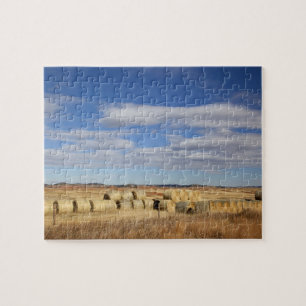 Puzzle Comté de Crook, Hay Bales