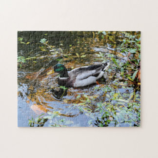 Puzzle con anatra nello stagno Puzzle de canard da