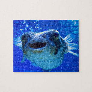 Puzzle Conception bleue du poisson-brousse