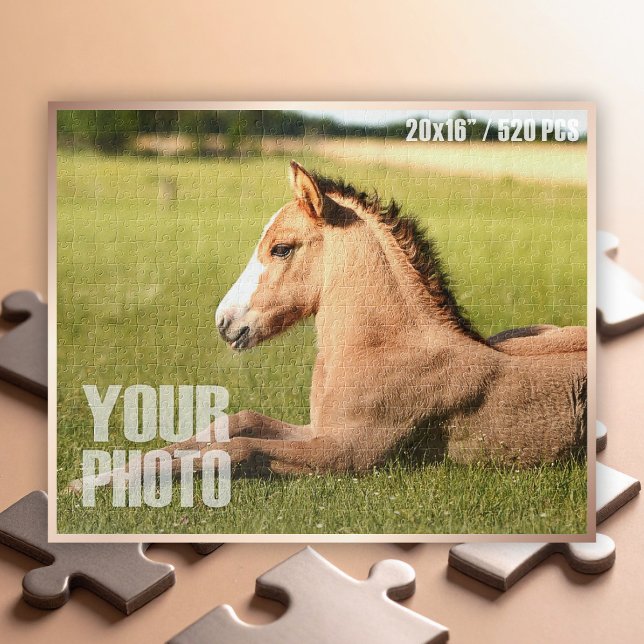 Puzzle Concevez votre propre photo personnalisée pour ani (Custom Photo Puzzle - 20x16" / 520 Pieces)