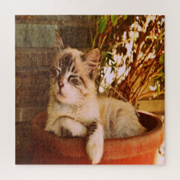 Puzzle Confort Sleepy Kitty