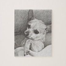 Puzzle confortable de chiwawa