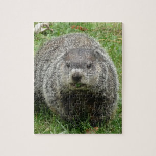 Puzzle Consommation de Groundhog