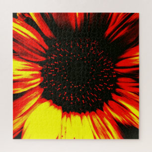 Puzzle contemporary large sunflower seed head and petals
