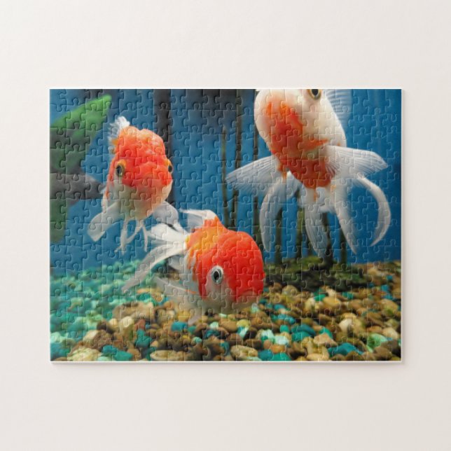 Puzzle Contes de poissons (Horizontal)