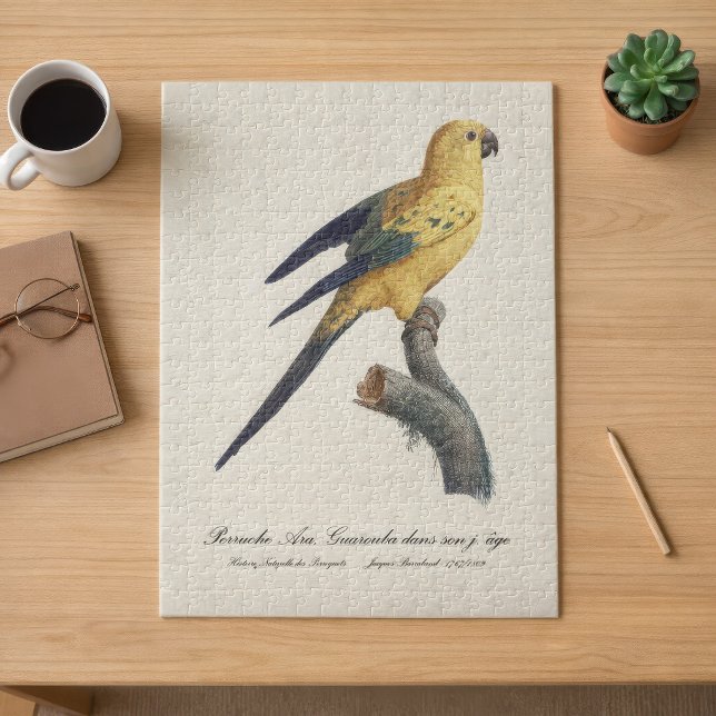 Puzzle Conure soleil ou Aratinga solstitialis (Guarouba dans sons jeune age / Sun parakeet. Jigsaw Puzzle)