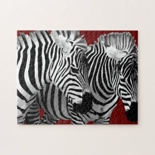 Puzzle Cool Nature Wildlife Zebra Stripes