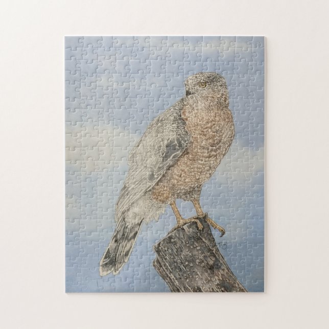 Puzzle Cooper's Hawk (Vertical)