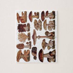 Puzzle Copie botanique de famille vintage de champignon