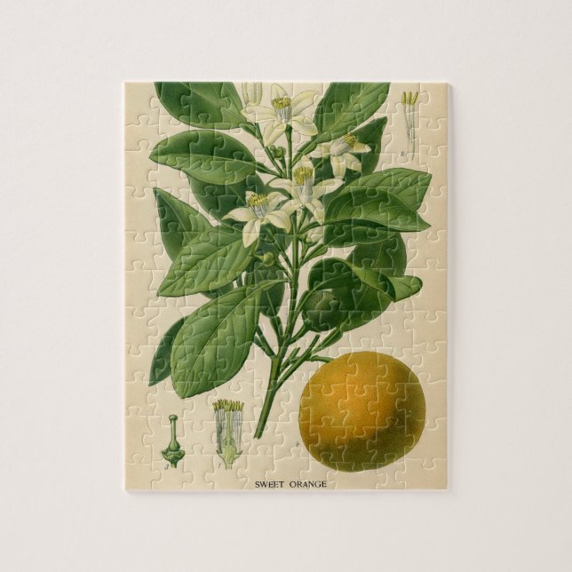 Puzzle Copie botanique orange vintage (Vertical)