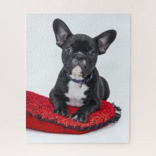 Puzzle Copieux Noir BULLDOG Puppy personnalisable