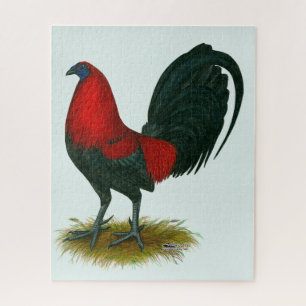 Puzzle Coq de combat américain : Brun Rouge