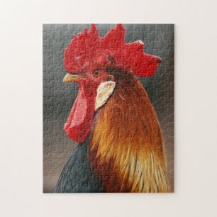 Puzzle Coq domestique de basse-cour