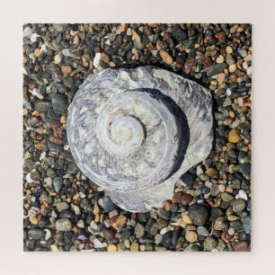 Puzzle coque de plage