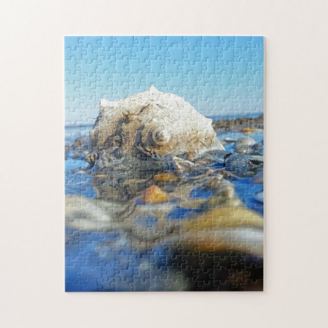 Puzzle Coquillage dans l'eau (Vertical)