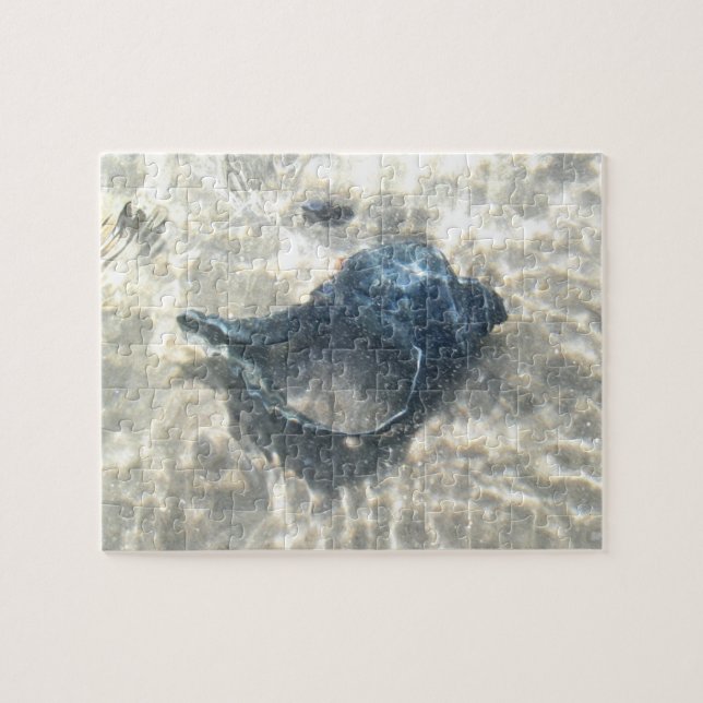 Puzzle Coquillage noir (Horizontal)