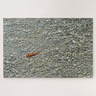 Puzzle Coquillage sur la plage