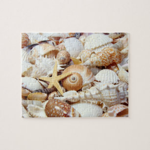 Puzzle Coquillages