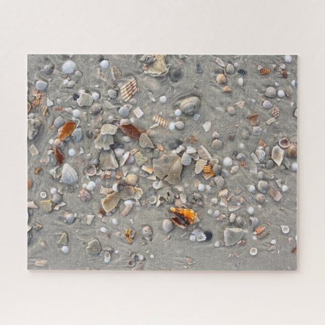 Puzzle Coquillages brisés au Cap San Blas, Floride 16x20 (Horizontal)