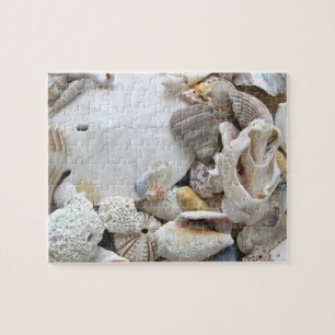 Puzzle Coquillages de sable