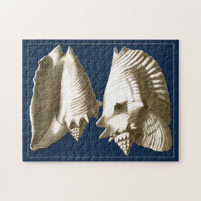 Puzzle Coquillages Sepia Conch (Horizontal)