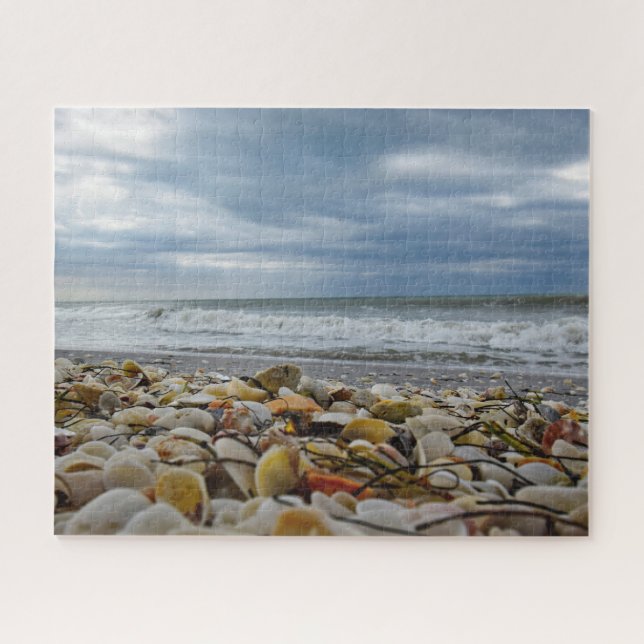 Puzzle Coquillages sur le bord de la mer - 16x20 - 520 (Horizontal)