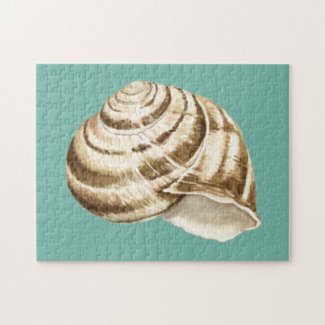 Puzzle Coquille striée Sepia sur Turquoise (Horizontal)