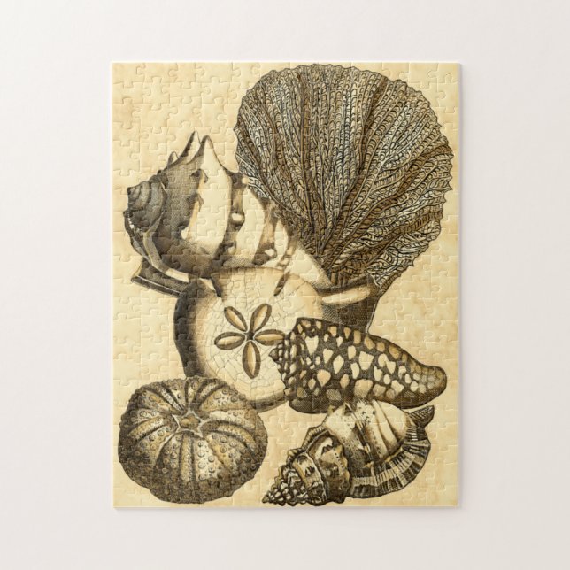 Puzzle Coquilles neutres et collection de corail (Vertical)