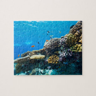 Puzzle Coral reef underwater