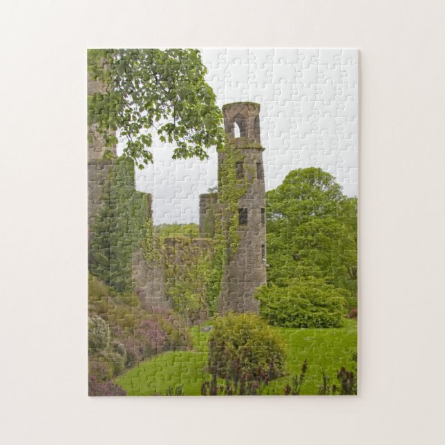 Puzzle Cork, Irlande. Le tristement célèbre château de Bl (Vertical)
